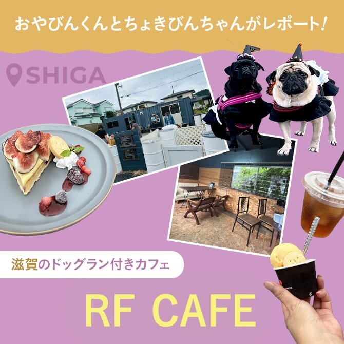 【RF CAFE】滋賀ドッグラン付きカフェおでかけレポート