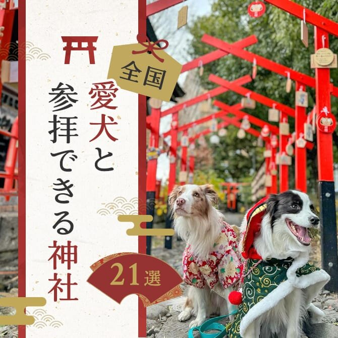 【愛犬と初詣】犬連れで行ける参拝可能な神社とお寺｜全国版