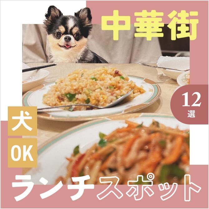 【横浜中華街で犬連れランチ】愛犬同伴OKなカフェ・レストランまとめ