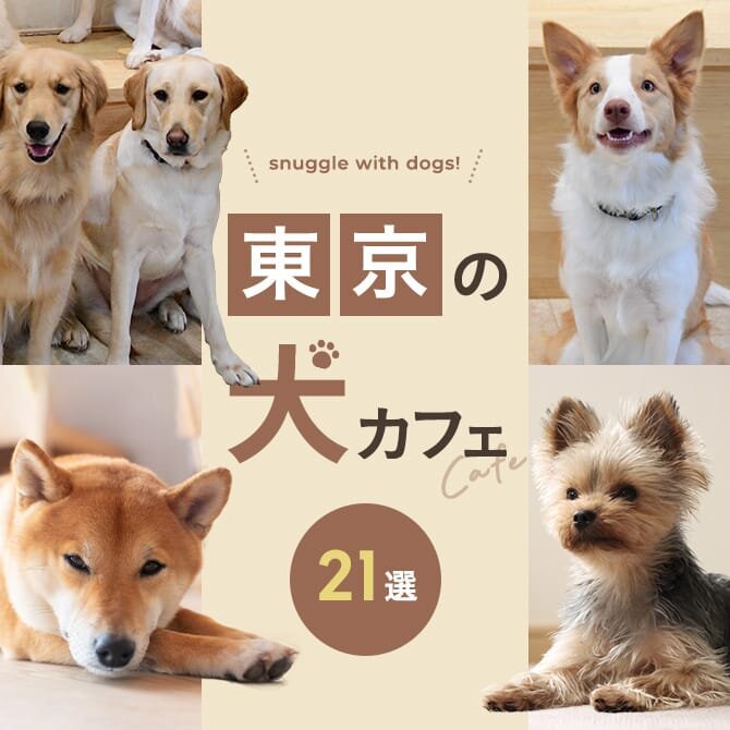 【東京 犬カフェ21選】東京で人気の犬カフェ！大型犬と触れ合えるカフェも