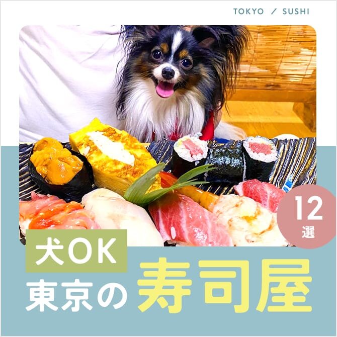 犬連れOKな人気のお寿司屋さん12選