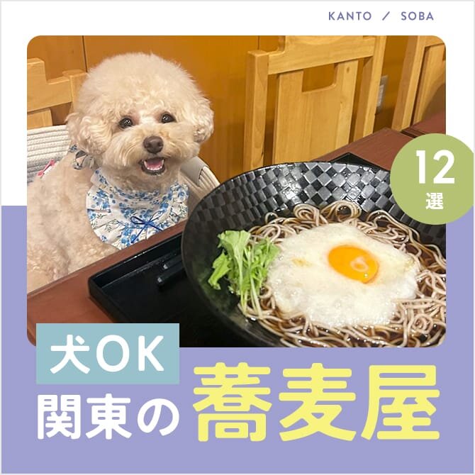 関東の犬連れOKなお蕎麦屋さん12選