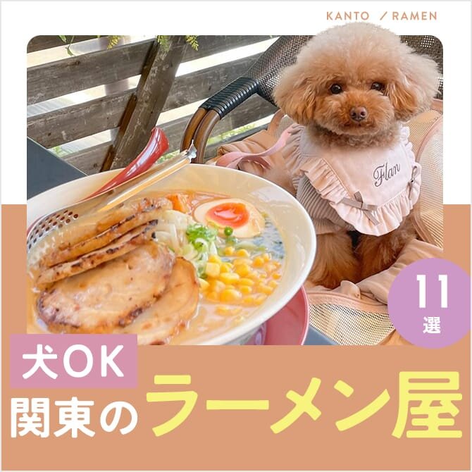 関東の犬連れOKなラーメン屋さん11選