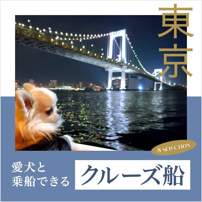 愛犬連れOKな東京のクルーズ船8選