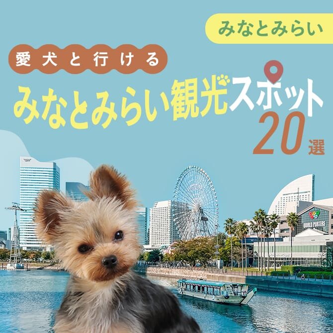 【みなとみらいの犬連れおでかけスポット20選】みなとみらいの犬といけるお出かけ・ランチスポット