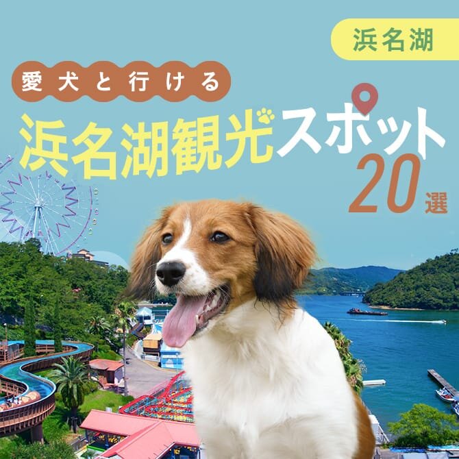 【浜松・浜名湖の犬連れおでかけスポット20選】浜松・浜名湖の犬連れランチスポット・観光スポット