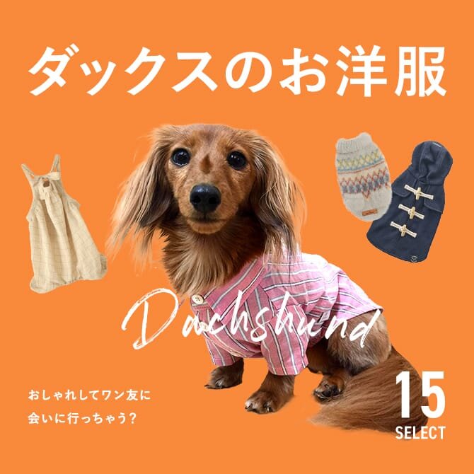 ダックスにおすすめの犬服ブランド15選