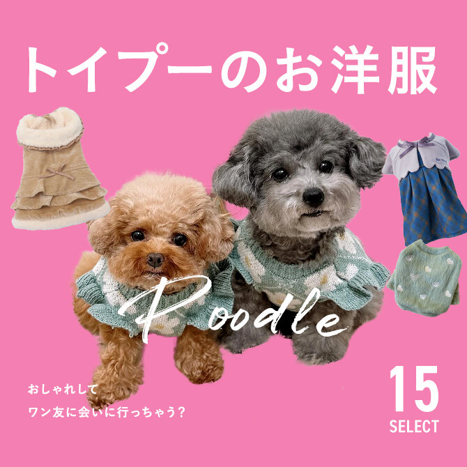 トイプードルにおすすめの犬服ブランド15選