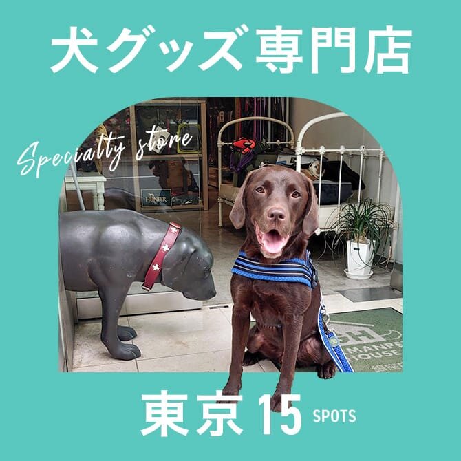 東京のおしゃれな犬グッズ専門店15選