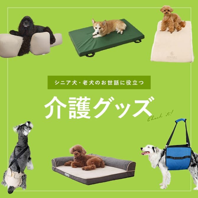 シニア犬・老犬のためのおすすめ介護グッズまとめ