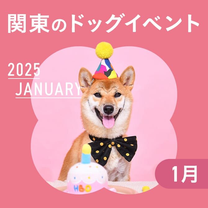 【2025年1月】関東で愛犬と行きたいドッグイベント9選