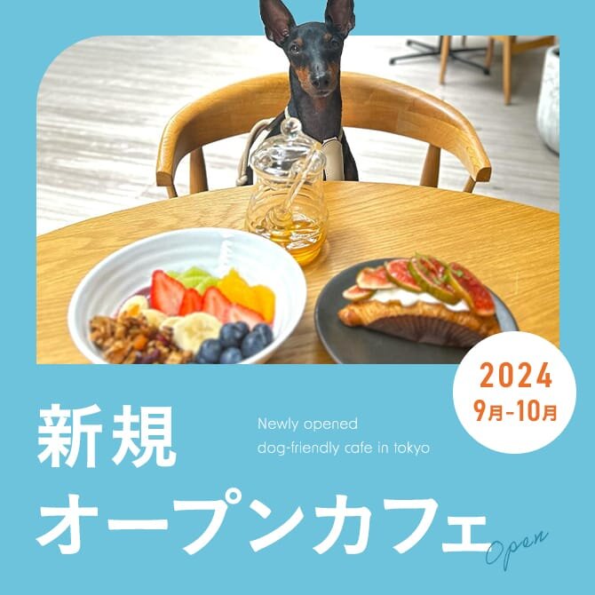 【2024年9月・10月新規オープンカフェ】愛犬と行ける話題の最新カフェ