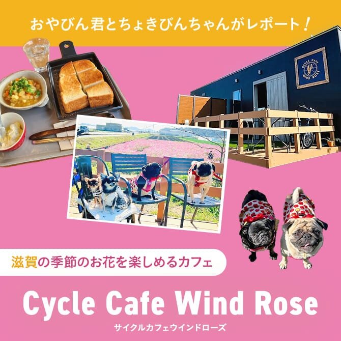 【Cycle Cafe Wind Rose（サイクルカフェウインドローズ）】滋賀ドッグカフェおでかけレポート