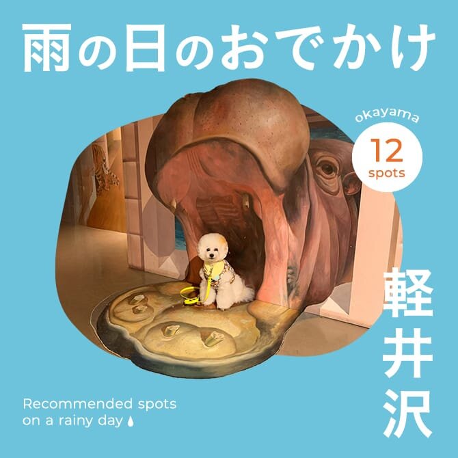 【軽井沢お出かけスポット】雨の日でも楽しめる愛犬と行ける室内施設