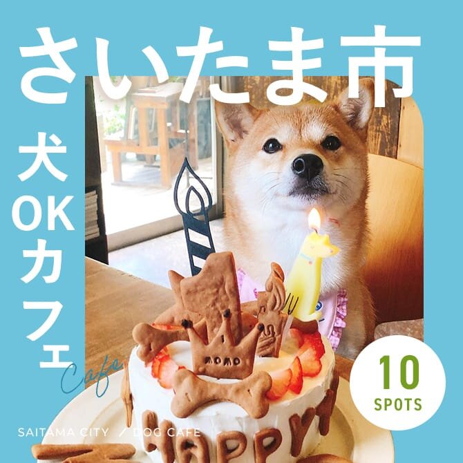 【さいたま市ドッグカフェ】犬連れランチができるお店も特集！