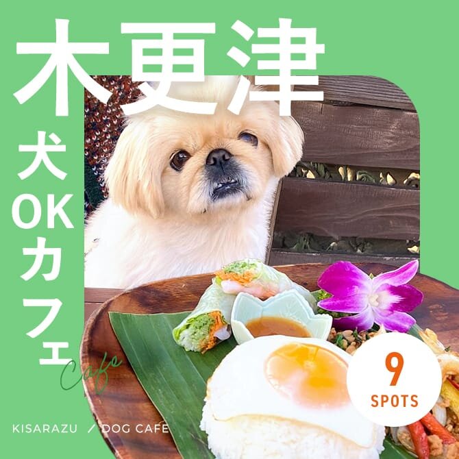 木更津ドッグカフェ・犬と行けるカフェ9選