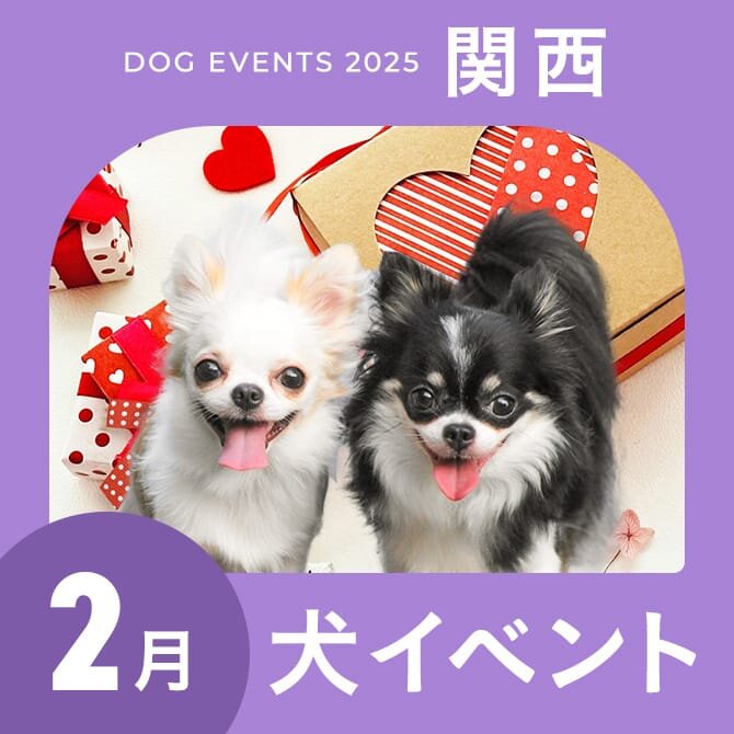 【2025年2月】関西で愛犬と行きたいドッグイベント9選