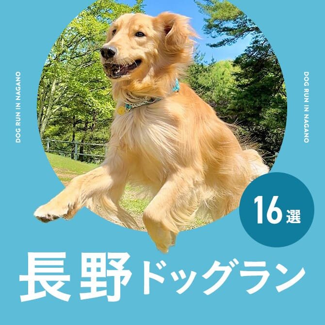 長野県のドッグラン一覧｜無料・室内ドッグラン