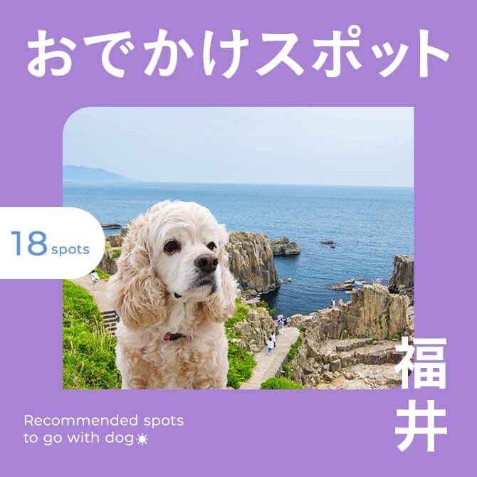 【福井の犬連れ観光スポットまとめ】福井の犬といけるおでかけ・ランチスポット