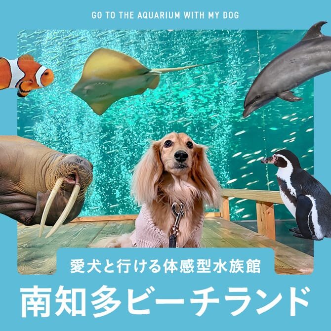 【南知多ビーチランド】犬連れOKな体験型水族館