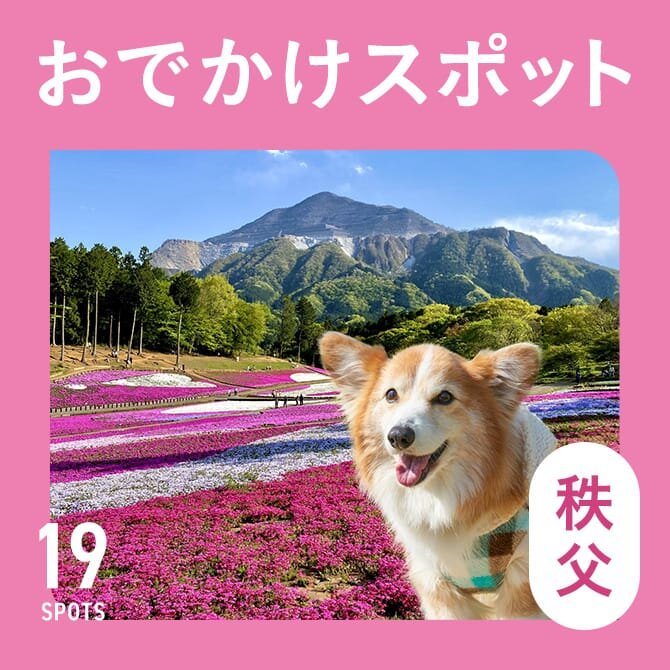 【秩父の犬連れ観光スポット19選】秩父の犬と行けるおでかけ＆ランチスポット