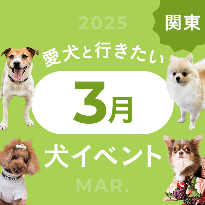 【2025年3月】関東で愛犬と行きたいドッグイベント23選