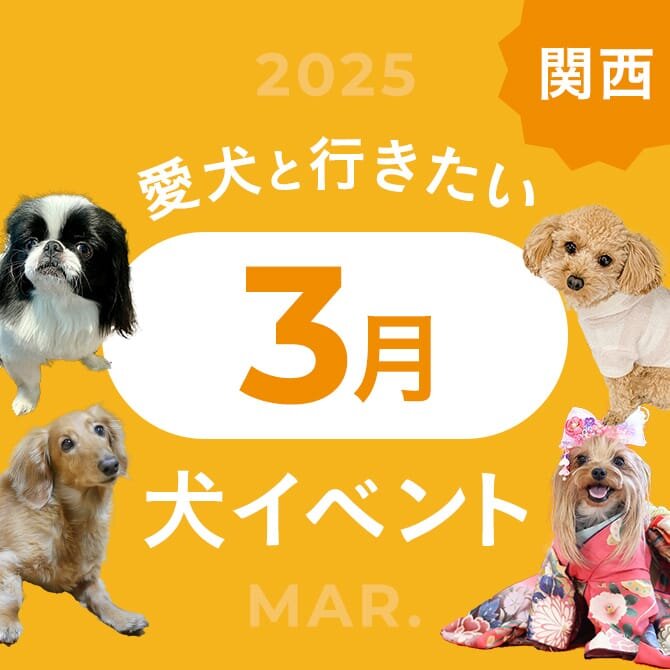 【2025年3月】関西で愛犬と行きたいドッグイベント12選