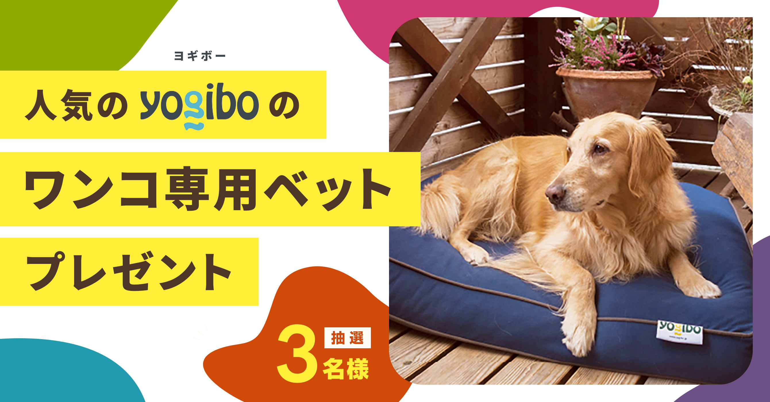 人気のyogiboのワンコ専用ベットdoggyboを抽選で３名さまにプレゼント