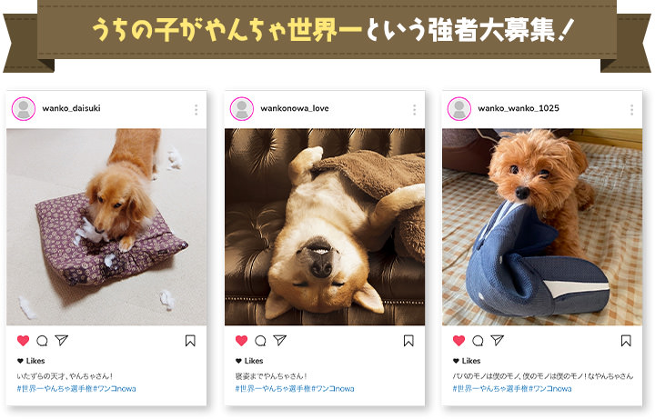 うちの子がやんちゃ世界一いう強者募集！