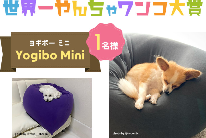 世界一やんちゃワンコ賞 ヨギボーミニ 1名様