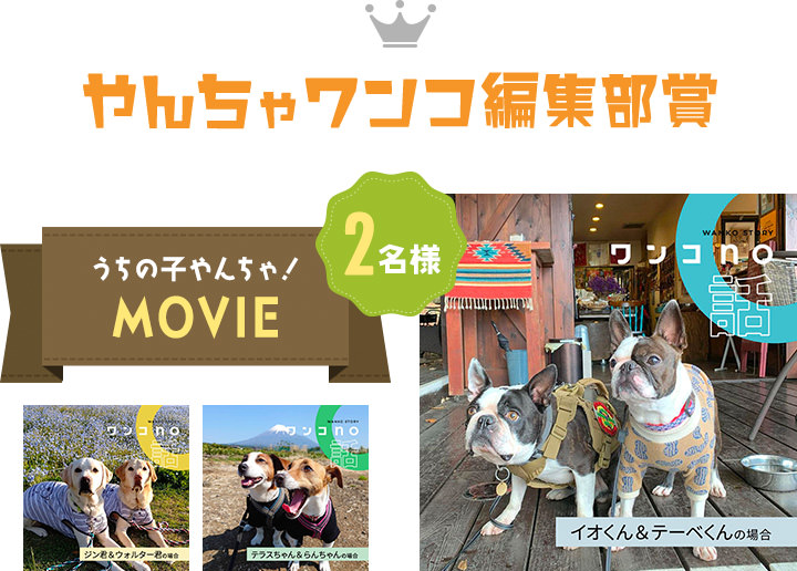 やんちゃワンコ編集部賞 うちの子やんちゃMOVIE 2名様