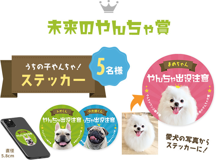 未来のやんちゃ賞 うちの子やんちゃステッカー 5名様