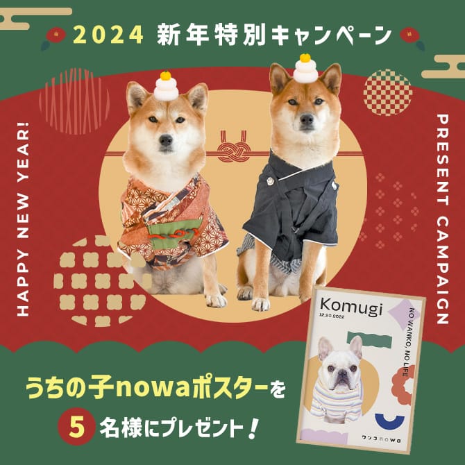 明けましておめでとうございます！今年もワンコnowaらしく、うちの子とハッピーになれる企画からスタートです！