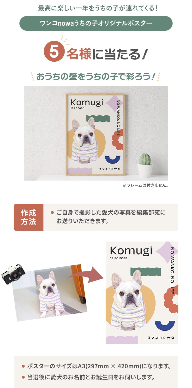 ワンコnowaうちの子オリジナルポスター5名様に当たる！作成方法 ご自身で撮影した愛犬の写真を編集部宛にお送りいただきます。ポスターのサイズはA3になります。当選後に愛犬のお名前とお誕生をお伺いします。