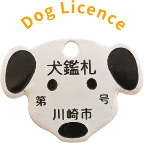 Dog Licence