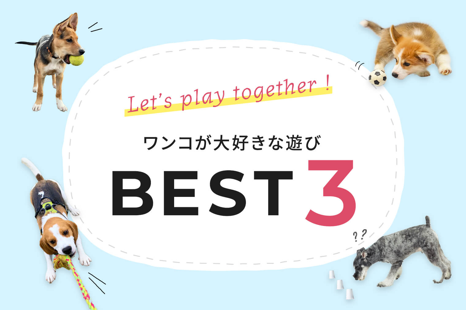 犬の好きな遊び方 犬の好きな遊び方を知って愛犬との信頼を深めよう 犬が大好きな遊びbest3