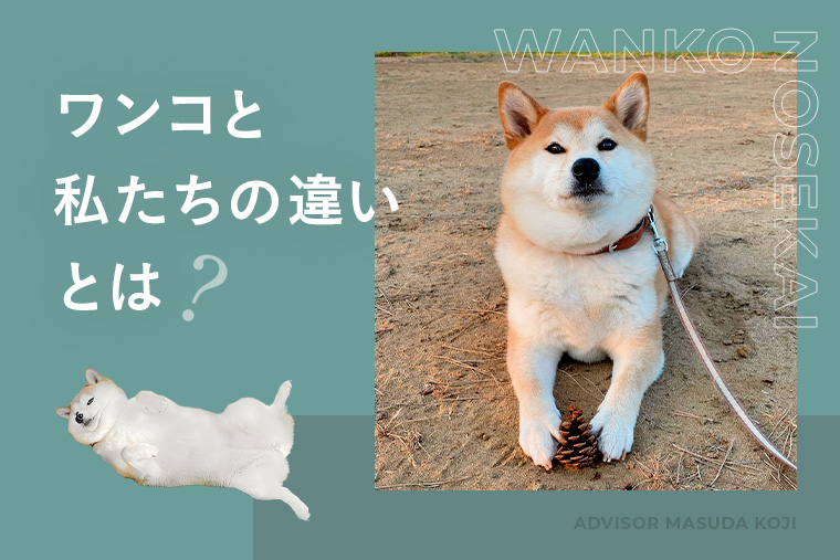 犬の行動心理学｜増田先生の犬の行動心理学。犬の見え方・考え方を知る