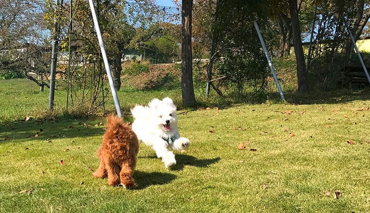 八王子農園