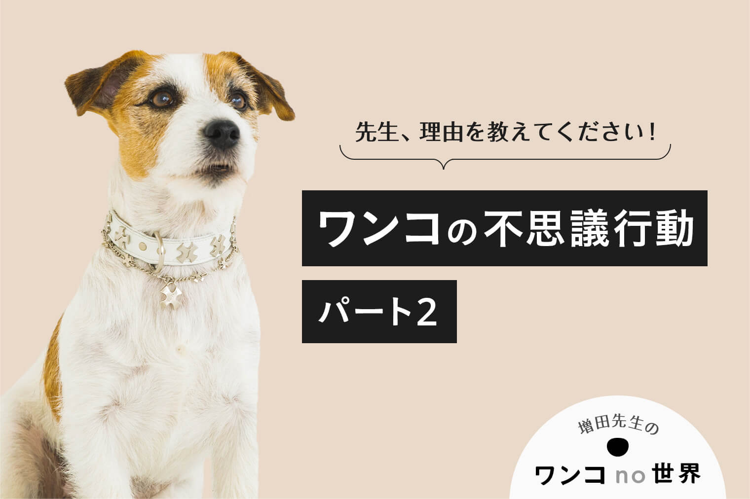 犬の不思議行動 あるある 気になるあの行動 ワンコの不思議行動パート2 増田宏司先生のワンコno世界