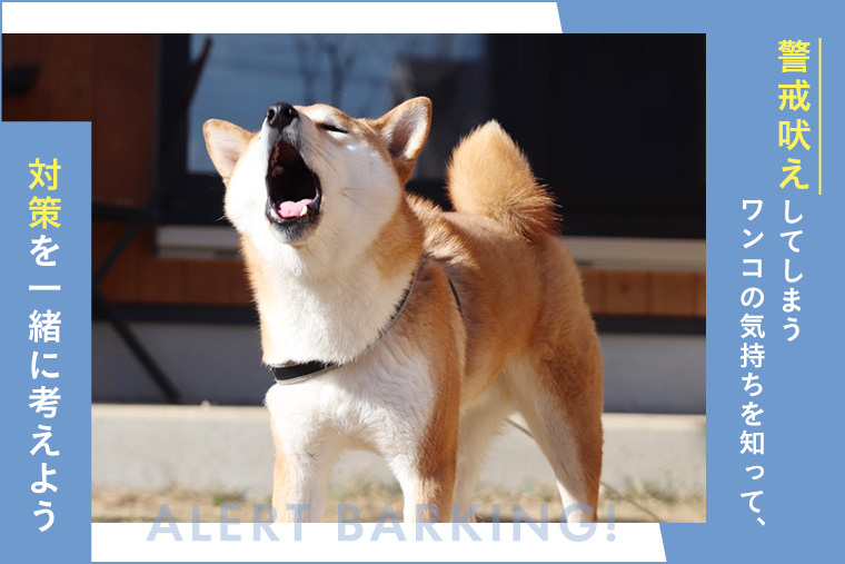犬の警戒吠え｜犬の心理から考える警戒吠えの予防と対策・トレーニング