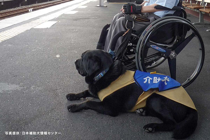 介助件と駅のホームで電車を待っている写真。写真提供：日本補助犬情報センター