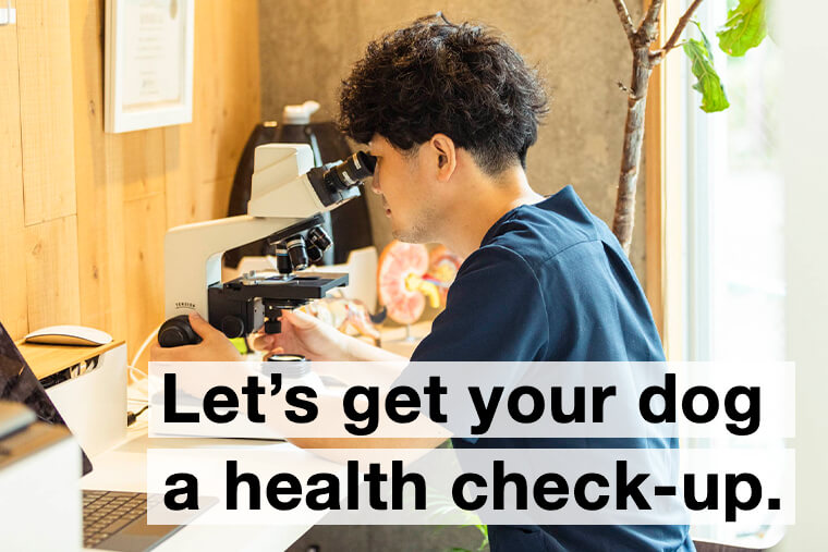 Let's get your dog a health check-up.