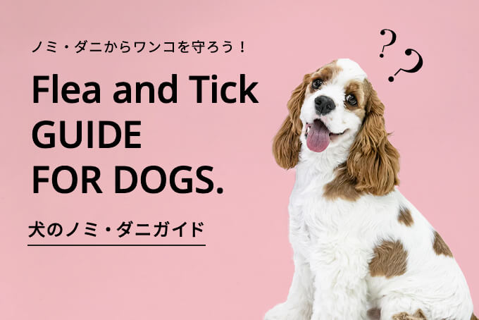 ノミ・ダニからワンコを守ろう！Flea and Tick GUIDE FOR DOGS. 犬のノミ・ダニガイド