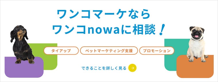 ワンコnowaブランドサイト マーケティング支援サービスのご相談はこちら