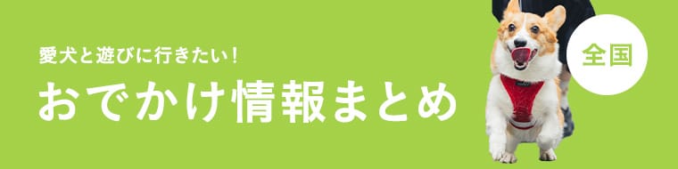 犬とお出かけTOP