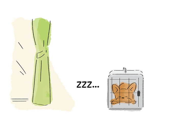 ZZZ・・・