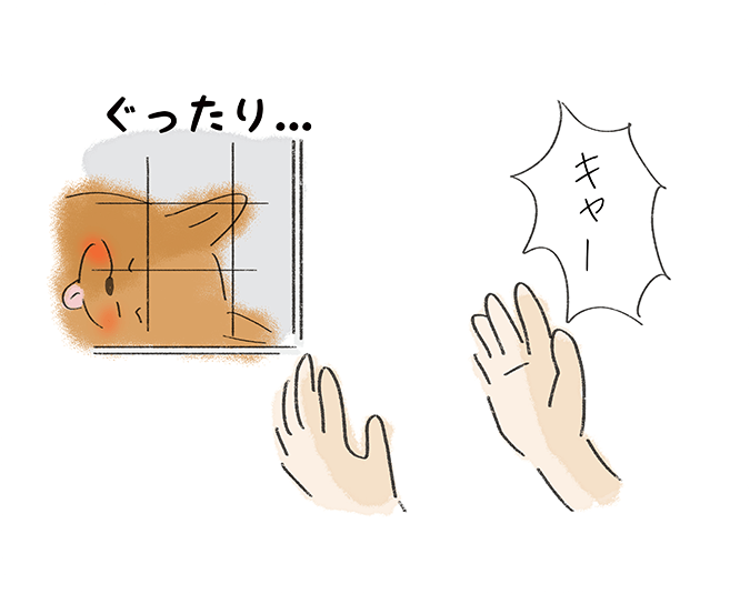 ぐったり・・・「キャー」