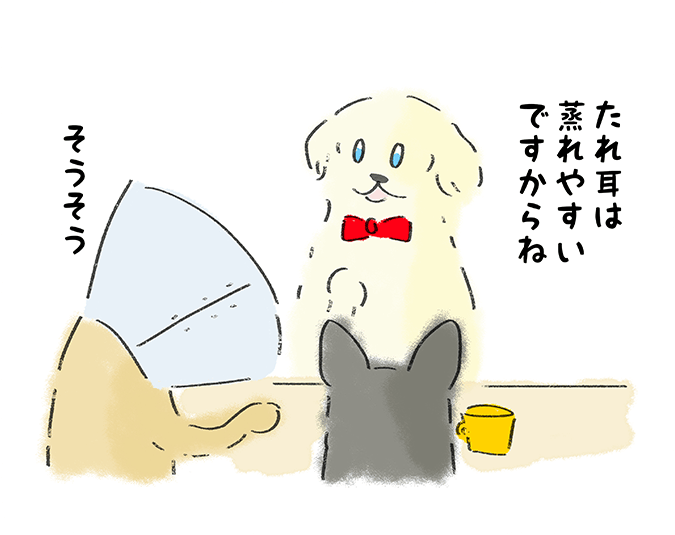 「たれ耳は蒸れやすいですからね」「そうそう」