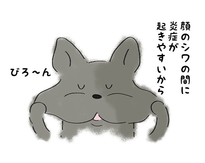 「顔のしわの間に炎症が起きやすいから」びろーん