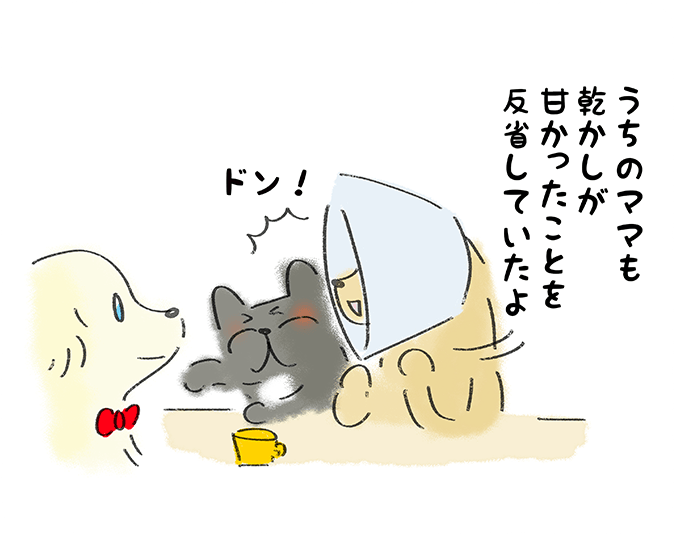 「うちのママも乾かしが甘かったことを反省していたよ」ドン！